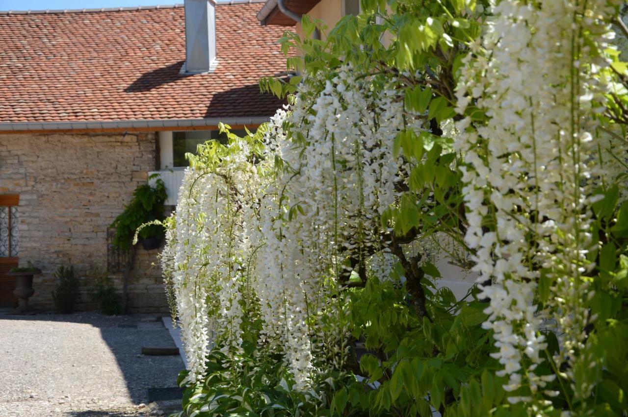 La Ferme Aux Glycines Hotel Aillevans Екстериор снимка
